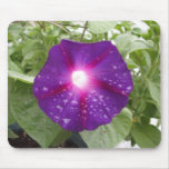 Morning Glory Blue Mousepad