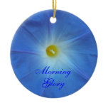 Morning Glory Blue
