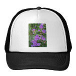Morning glory, Deya, Mallorca flowers Mesh Hats