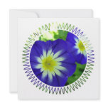 Morning Glory Flower invitations'