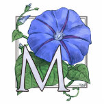 Morning Glory Flower Monogram photo sculptures