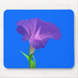 Morning Glory Flower Purple mousepads