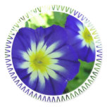 Morning Glory Flower Stickers