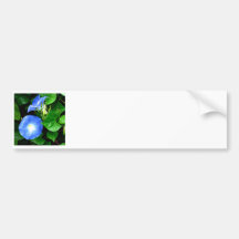 Morning Glory Heavenly Glue Bumper Sticker