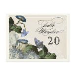 Morning Glory Hydrangea -  Table Seating Numbers Postcard