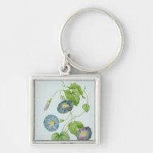 Morning Glory Key Chains
