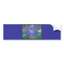 Morning Glory (Landscape)