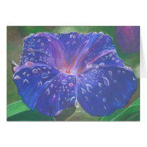 Morning Glory (Landscape)
