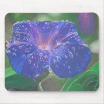 Morning Glory (Landscape)