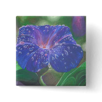 Morning Glory (Landscape)
