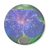 Morning Glory (Landscape)