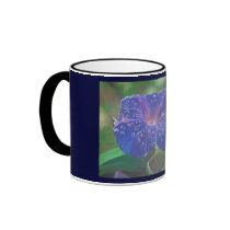 Morning Glory (Landscape)