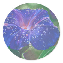 Morning Glory (Landscape)
