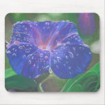 Morning Glory (Landscape) Mouse Pads