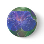Morning Glory (Landscape) Pin