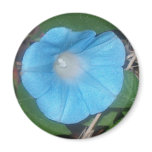 Morning Glory Fridge Magnet