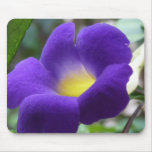 Morning Glory Mouse Pad mousepads