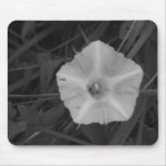 Morning Glory Mouse Pad