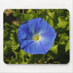 Morning Glory Mousepad