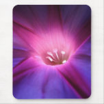 Morning glory mousepads