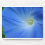 Morning Glory Mouse Mat