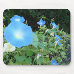 Morning Glory Mousepad