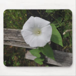 Morning Glory Mousepads