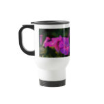 Morning Glory mugs