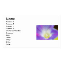 Morning Glory Photo Business Card