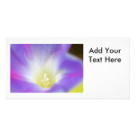 Morning Glory Photo Customised Photo Card