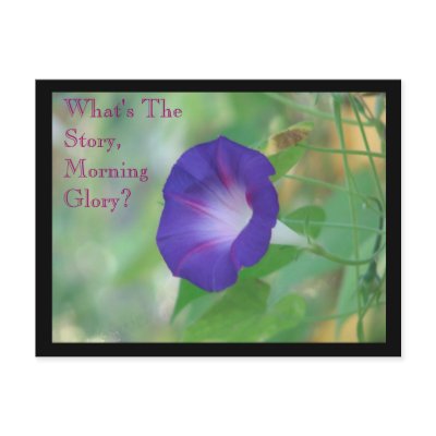 Morning Glory Postcard by CopaseticMuse
