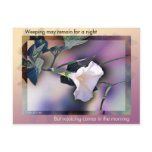 Morning Glory postcard