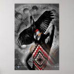 MORNING GLORY posters