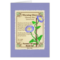 Morning Glory Seed Packet