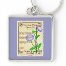 Morning Glory Seed Packet
