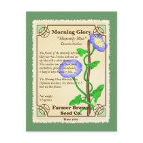 Morning Glory Seed Packet