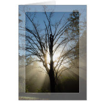 "Morning Glory" Solstice Card