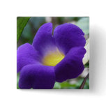 Morning Glory Square Pin buttons