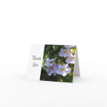 Morning Glory -  Thank You cards