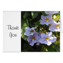 Morning Glory -  Thank You Cards