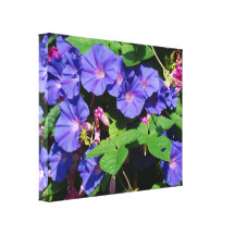 Morning Glory Vine Wrapped Canvas Stretched Canvas Prints