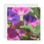 Morning Glory Vines Invitations