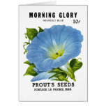 Morning Glory Vintage Seed Packet cards