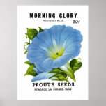 Morning Glory Vintage Seed Packet posters
