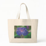Morning Glory (What's the Story?) bags