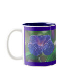 Morning Glory (What's the Story?) mugs