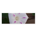 Morning Glory White Bookmark business cards