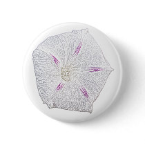 Morning Glory White Button