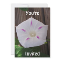 Morning Glory White Invitation