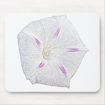 Morning Glory White Mouse Pads
